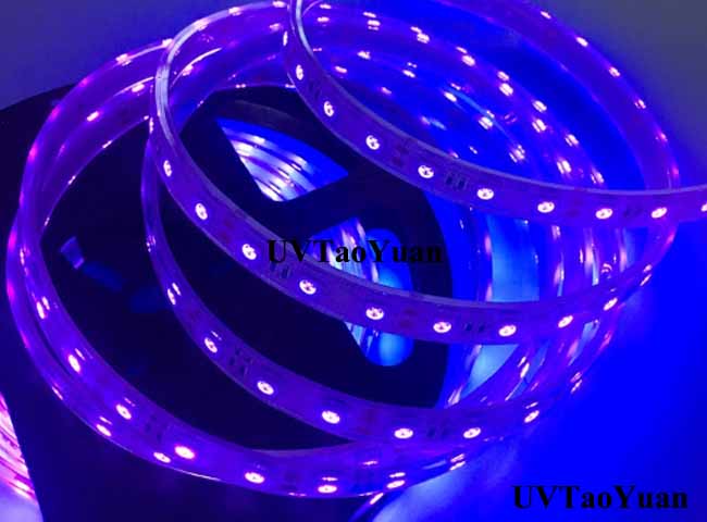 UV LED Strip Light SMD3528 395-405nm